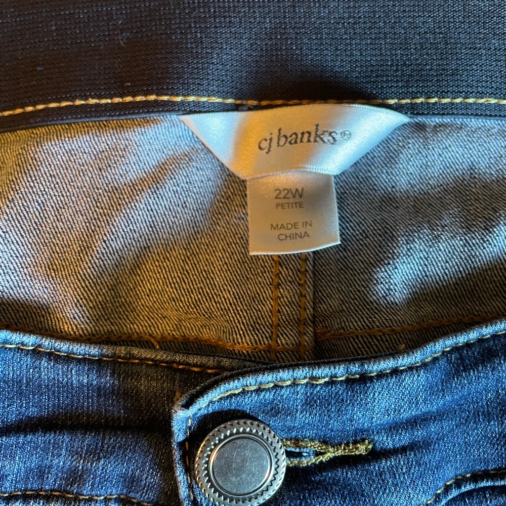 COPY - Christopher and Banks 22P jeans.
